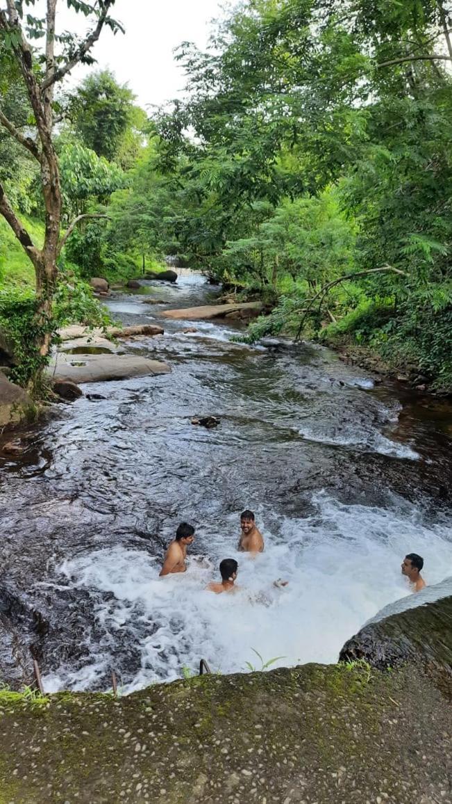 Hotel Wildglamps Athirappilly Extérieur photo